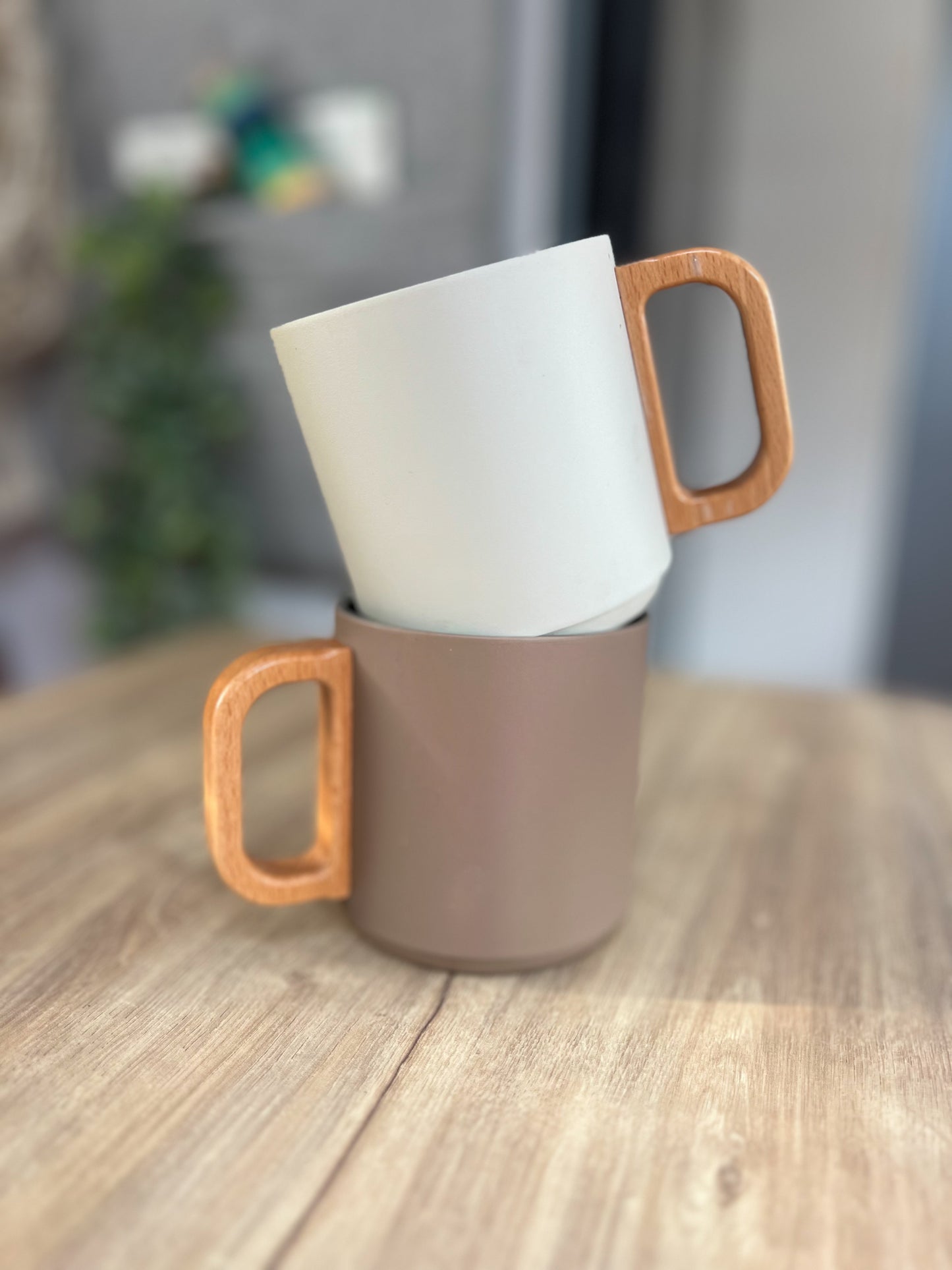 TIAV insulated Mugs